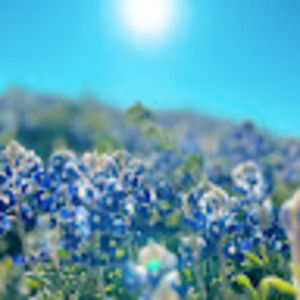 Meet your Posher, Kara